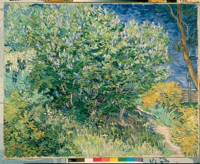 Lilac Bush by Vincent van Gogh